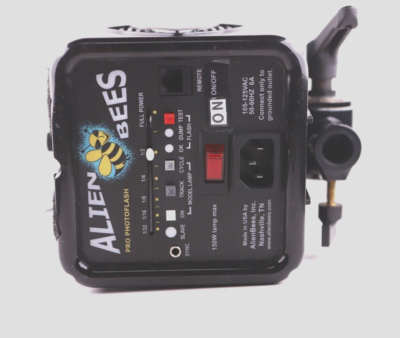 Rent a AlienBees B800 2-Head Strobe Package