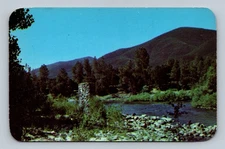 Vintage Coloma California Sutter's Mill Postcard American River 1940s