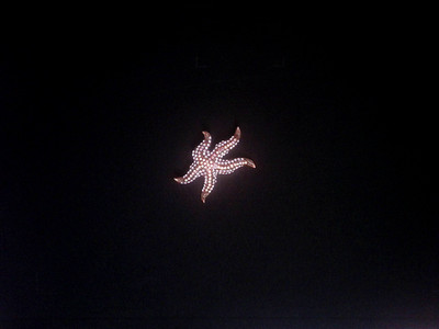 Vintage 1950s Copper Starfish Brooch Pin Aurora Borealis Rhinestone Sea Life MCM