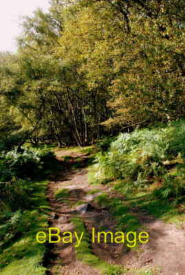 Foto 6x4 Der Weg hinunter vor White Edge Nether Padley Dieser Weg führt durch c2007