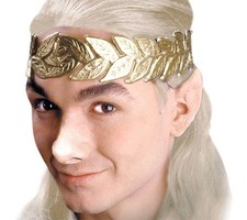 ELVEN EAR TIPS  Woochie  Applications and Prosthetics