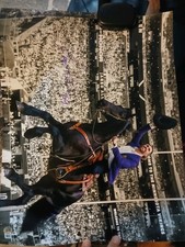 Jared Allen Signed Becket Certified 16 X 20 Photo