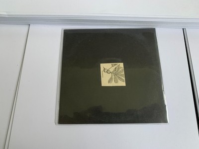 Darren Tate  HICKORY 3/3/06  Fungal 20 CD CDr LTD NMBRD 33/75 NM/NM [B17]