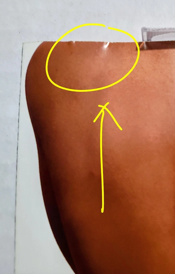 Ween  "Chocolate and Cheese" CD 1994 Elektra (BMG Club Copy) VERY GOOD OVERALL!! Foto 4 de 4