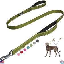 Fida 4 FT Heavy-Duty Dog Leash - 2 Padded Handles, Traffic Handle, Reflective