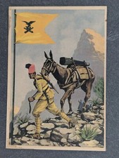 Cartolina Coloniale I° Gruppo Artiglieria Montagna Eritreo AOI Boeri, F. Grande