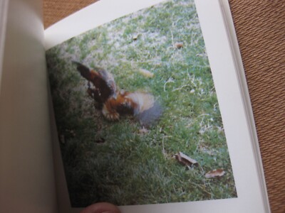 COCK FIGHT DANCE - Sol Lewitt - 1980 1st PB - Rizzoli minimalism