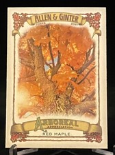 2021 Topps Allen & Ginter Arboreal Appreciation #AA-5 Red Maple
