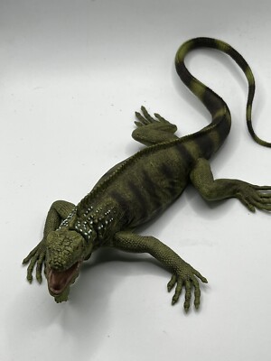 Safari Ltd Pet Store Iguana Safari Ltd Green Iguana Incredible