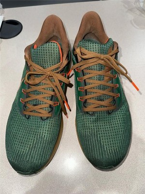 Nike Air Zoom Pegasus 39 DO9500-300 Men's 12 Running Shoe AIR Hola Lou Green