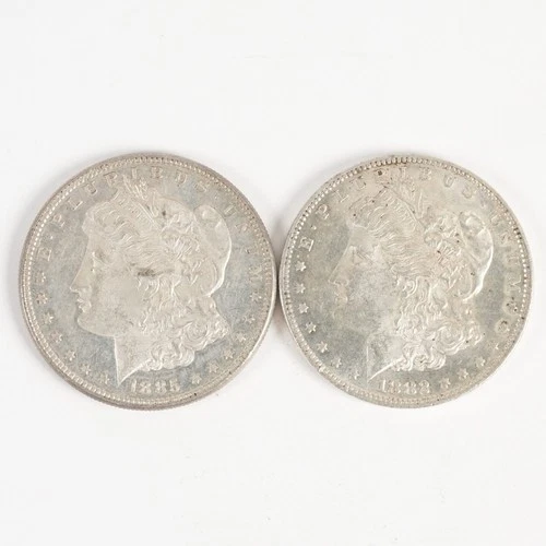 1882 & 1885 Near Proof-Like Morgan Dollars $1 31353