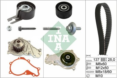 530 0375 30 INA Water Pump + Timing Belt Kit for Citroen, Fiat, Ford