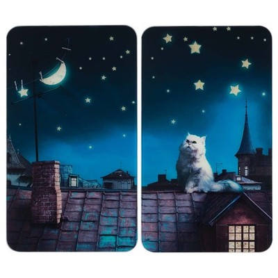 MAXIMEX 2 Herd Abdeck Platten MOON CAT Küchen Schneide Bretter Katzen Motiv Glas