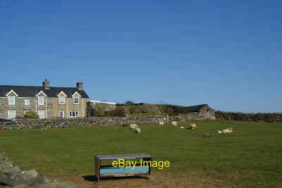 Sheep and self-catering cottages at Rhiwgoch Creative Commons L c2012
