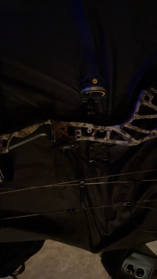 Bear Fusion estado quase perfeito 300 obo - Imagem 2 de 3