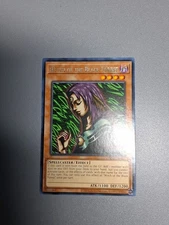 Witch Of The Black Forest *Rare* TOCH-EN027 NM