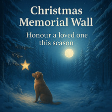 Personalised Online Memorial Wall Remembrance Gift Keepsake For Dog Cat Person