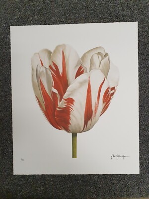 JOHN MATTHEW MOORE - ''Flower'' LIMITED GICLEE PRINT. 22/295