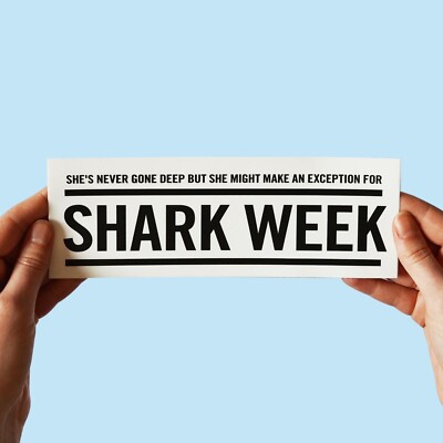 The Hold Steady Bumper Sticker! ''Lanyards'' Open Door Policy sharkweek craig finn