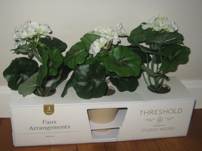 Set of 6 Geranium Potted Arrangements - Threshold Studio Decorative Plants NEW!!