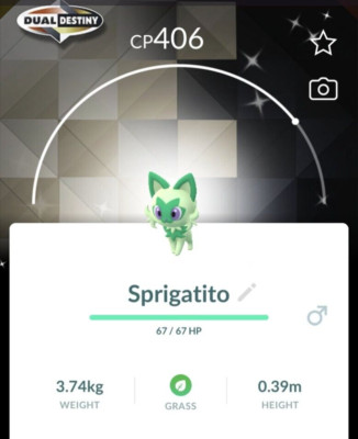 Shiny Sprigatito Backgrounds Community Day - PTC 20k Stardust