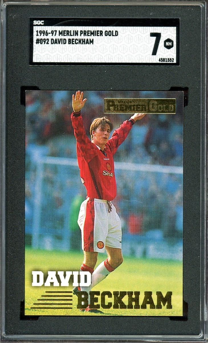 Merlin’s Premier Gold   Beckham　ベッカム s-l400.jpg