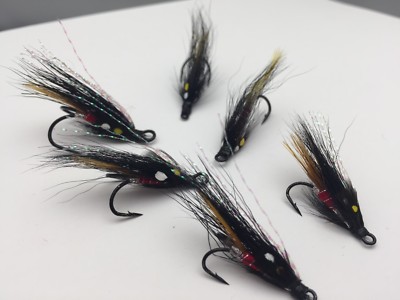 Esperienza Di Pesca Di 8 Ore Al Salmone Dell'Alaska 2026 - Anchorage - Foto 6