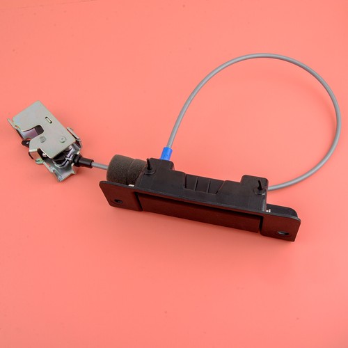 Poignée De Vitre FORD TRANSIT Camionnette E_ _ 95VBV23342ABYYCT 1041708