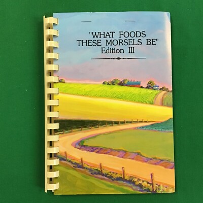 Michigan City Indiana Sinai Temple Sisterhood Vtg 1990s Cookbook SEE INDEX