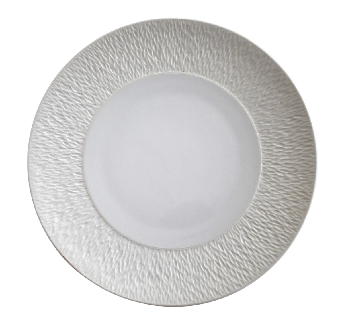 RAYNAUD MINÉRAL IRISÉ Shell by THIERRY CHEYROU Porcelain 6
