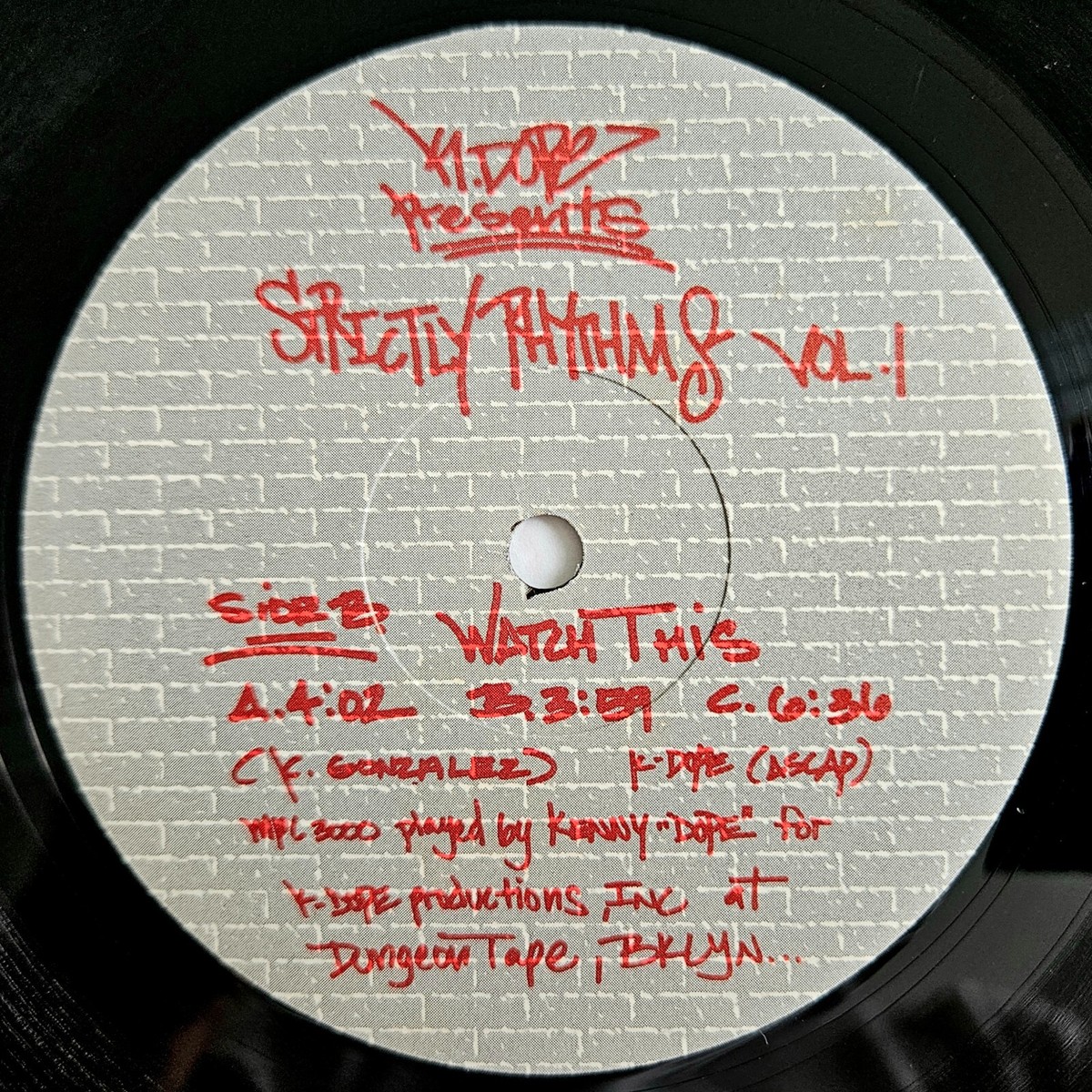 HOUSE - KENNY DOPE - STRICTLY RHYTHMS VOL. 1 - TRIBAL SEAGULLS