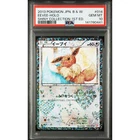 Pokemon Eevee 2013 Shiny Collection 1st ED Holo #014/020 PSA 10 Japanese Card