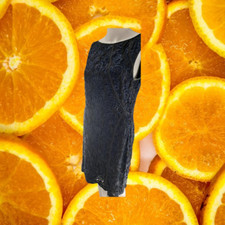 Ann Taylor Blue Lace Sleeveless Mini Dress Size 12