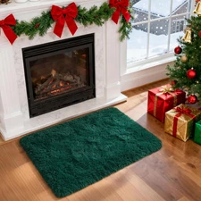 Fluffy Shaggy Area Rug, Deep Green 2x3 Small Rugs for Fireplace Christmas Holida