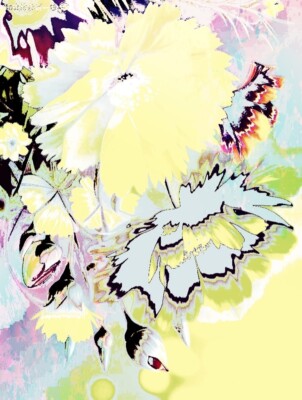 Soft Feather