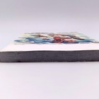 Foto 13 di 24