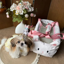 Pet Dog Car Seat Cat Carrier Booster Seat on Armrest Travel Bags for Cats Dogs w