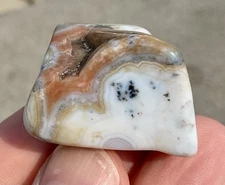 15g Polished Ocean Jasper Freeform Cabochon Orbicular Jasper 8th Vein High Grade