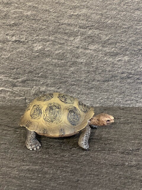 schleich giant turtle