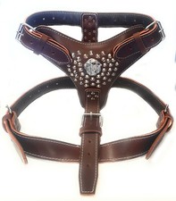 Extra Large Heavy Duty Dark Brown Leather Harness with American Bulldog Badge