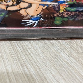 Fighting Vipers Saturn Game Manual Biting the Vipers Used 33q