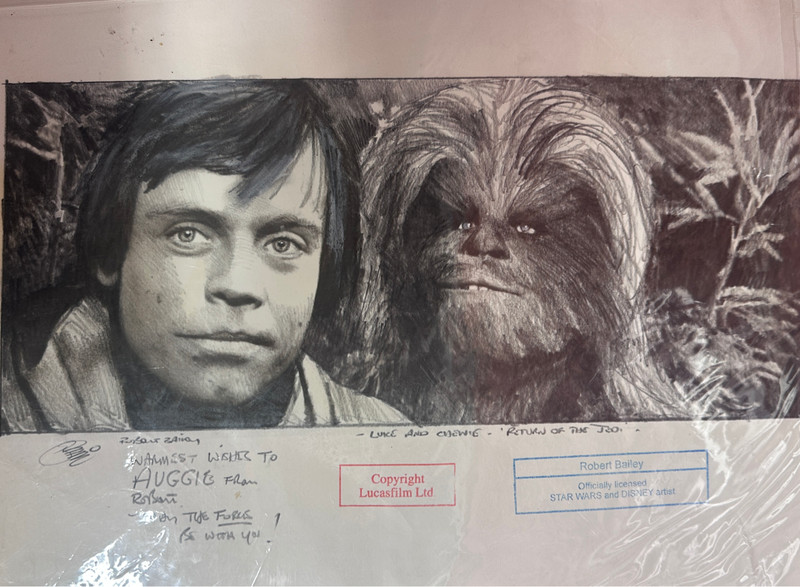 2015 Robert Bailey Star Wars Art "Luke & Chewie" from Return of the Jedi