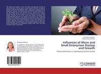 Influences Of Micro And Small Enterprises Startup And Growth Wineaster Anderson