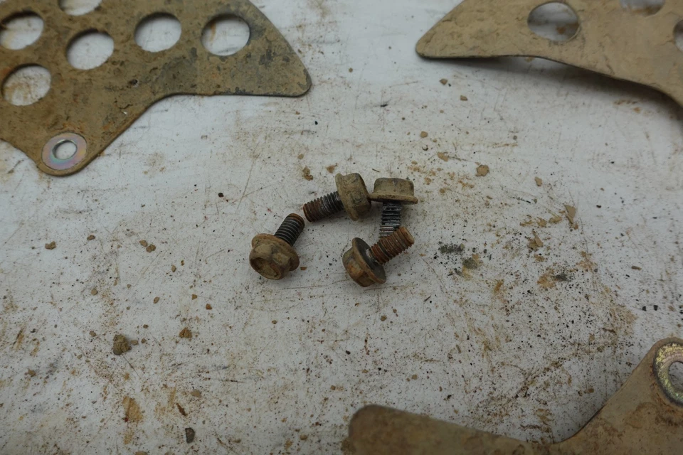 Protectores de rotor de disco de freno delantero Yamaha Big Bear 400 2004 Foto 2 de 4