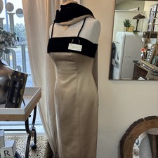 Alex Evening Gown Gold/black Size 6