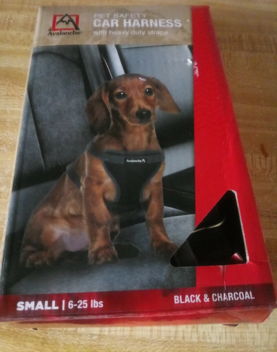 Avalanche pet safety car clearance harness