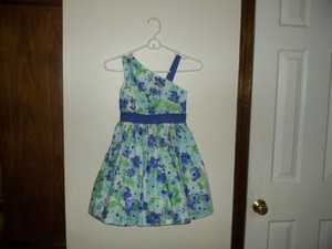New Nwt Gymboree Dressed Up Girls Special Occasion Dress Blue Floral Floral Sz 6 Ebay