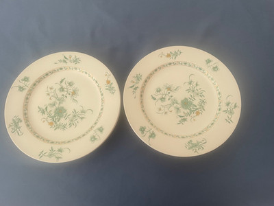 Bernardaud Limoges Pekin vert 6 Speiseteller TOP!