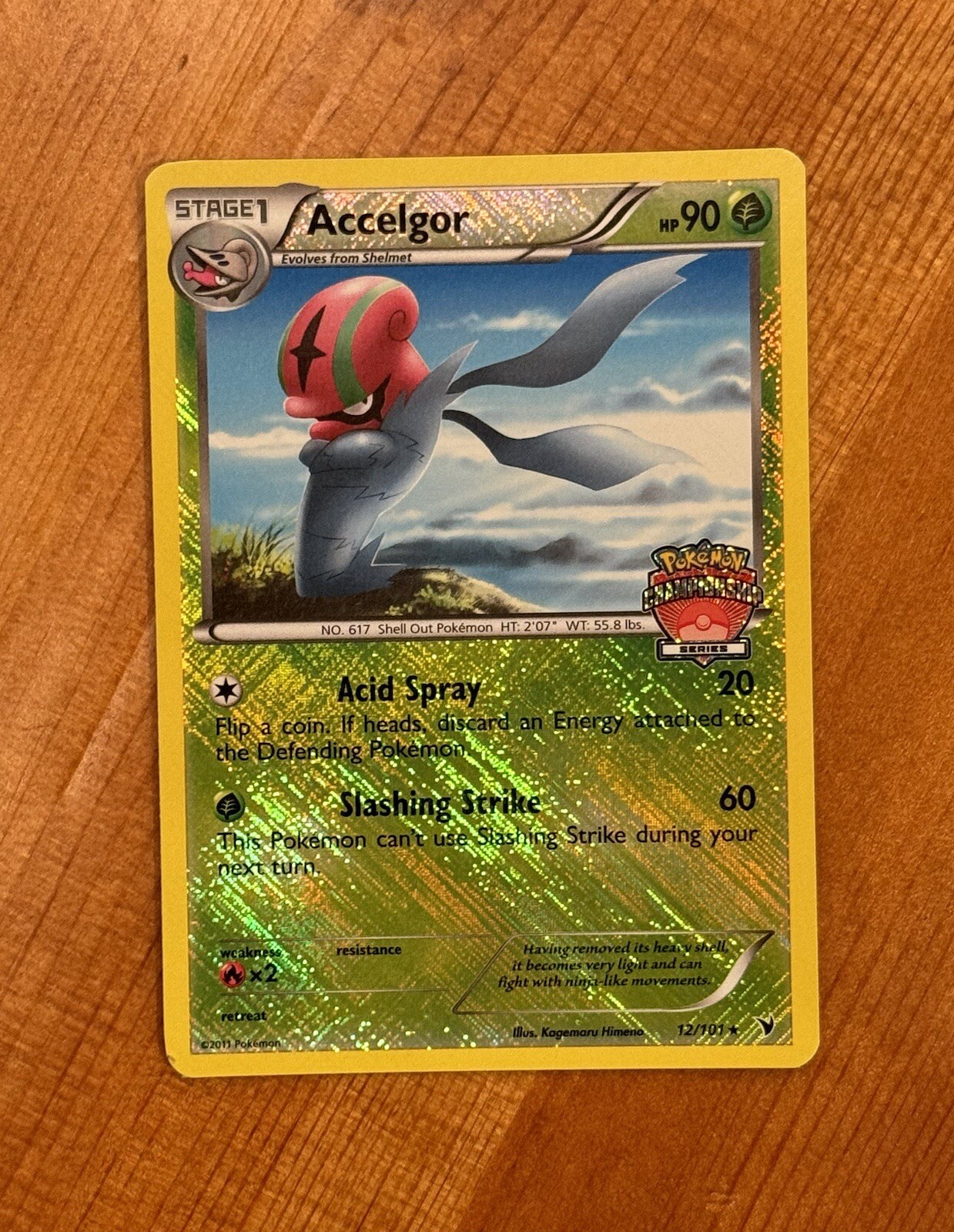 Accelgor, 12/101, LP, Championship Series Crosshatch R-Holo Pokemon TCG Cards