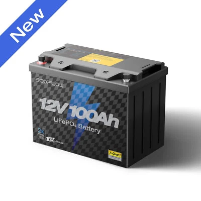 EcoFlow 12V 100Ah LiFePO4 Lithium Battery BMS Deep Cycle For RV Solar Energy